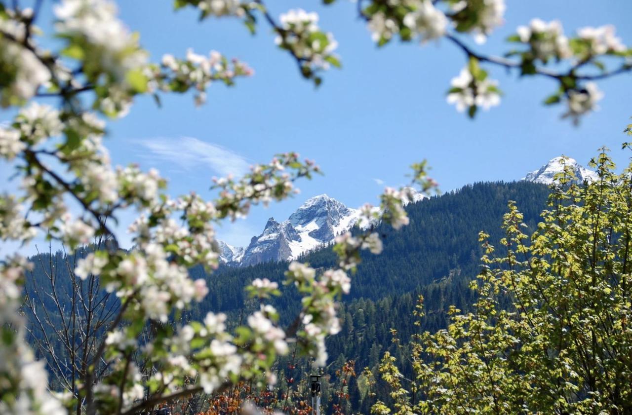 Landhaus Bergner Alm Fusch an der Glocknerstraße Esterno foto