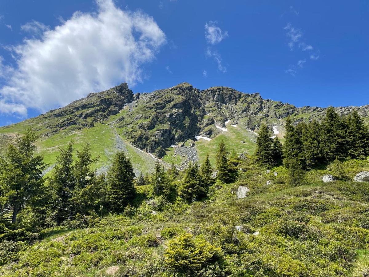 Appartamento Landhaus Bergner Alm Fusch an der Glocknerstraße Esterno foto