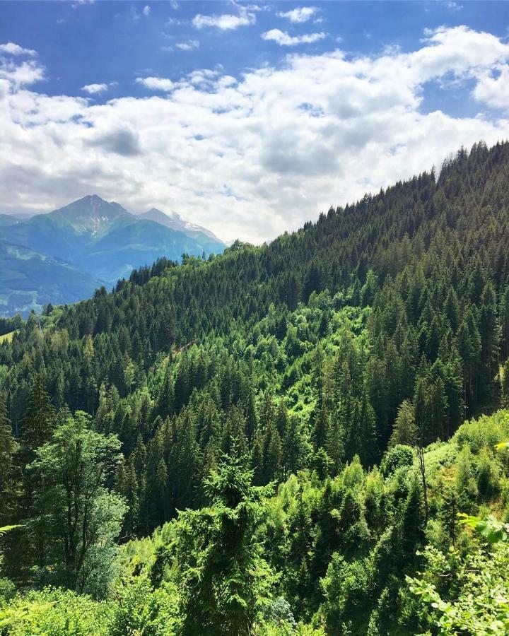 Appartamento Landhaus Bergner Alm Fusch an der Glocknerstraße Esterno foto